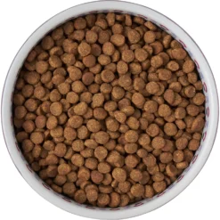 Frisco Kaleidoscope Pattern Non-skid Ceramic Dog & Cat Bowl -PetPalace Picks 256090 PT5. AC SS1800 V1615312887