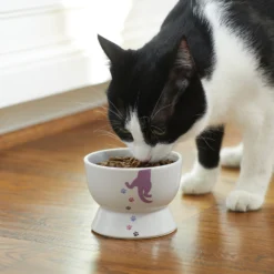 Frisco Cat Print Non-skid Elevated Ceramic Cat Bowl, Short -PetPalace Picks 256096 PT2. AC SS1800 V1616522571