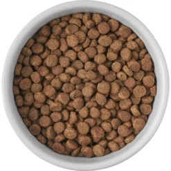 Frisco Cat Print Non-skid Elevated Ceramic Cat Bowl, Short -PetPalace Picks 256096 PT4. AC SS1800 V1616522576