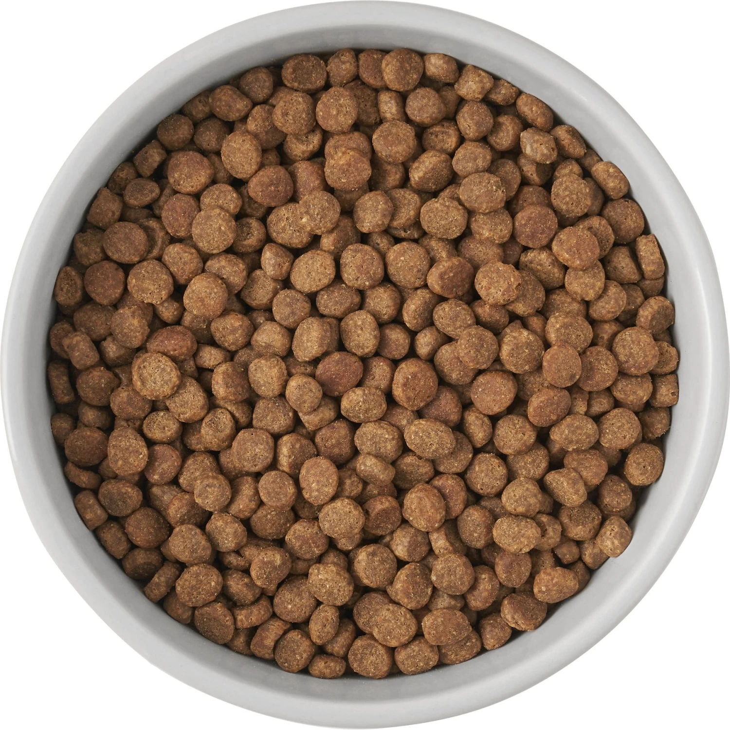 Frisco Cat Print Non-Skid Elevated Ceramic Cat Bowl, Tall 5 Frisco Cat Print Non-Skid Elevated Ceramic Cat Bowl, Tall - Image 5