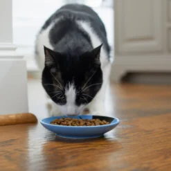 Frisco Cat Face Non-skid Ceramic Cat Dish, Blue 9 Frisco Cat Face Non-skid Ceramic Cat Dish, Blue -PetPalace Picks 256101 PT3. AC SS1800 V1617130591