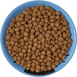 Frisco Cat Face Non-skid Ceramic Cat Dish, Blue 11 Frisco Cat Face Non-skid Ceramic Cat Dish, Blue -PetPalace Picks 256101 PT5. AC SS1800 V1615321282