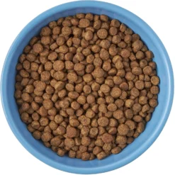 Frisco Cat Face Non-skid Ceramic Cat Bowl, Blue -PetPalace Picks 256103 PT5. AC SS1800 V1615312900