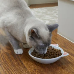 Frisco Cat Face Non-skid Ceramic Cat Dish -PetPalace Picks 256105 PT2. AC SS1800 V1615310882