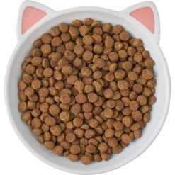 Frisco Cat Face Non-skid Ceramic Cat Dish -PetPalace Picks 256105 PT5. AC SS1800 V1615321295