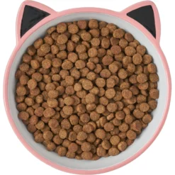 Frisco Cat Face Non-skid Ceramic Cat Bowl, Pink -PetPalace Picks 256107 PT5. AC SS1800 V1616522494
