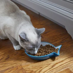 Frisco Fish Shaped Non-skid Ceramic Cat Dish 10 Frisco Fish Shaped Non-skid Ceramic Cat Dish -PetPalace Picks 256109 PT3. AC SS1800 V1617196297