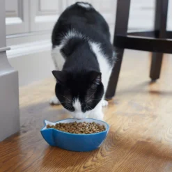 Frisco Fish Shaped Non-skid Ceramic Cat Bowl -PetPalace Picks 256111 PT6. AC SS1800 V1617037703