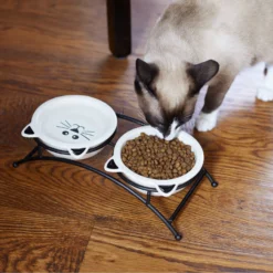 Frisco Cat Face Non-skid Elevated Double Ceramic Cat Bowl 8 Frisco Cat Face Non-skid Elevated Double Ceramic Cat Bowl -PetPalace Picks 256113 PT2. AC SS1800 V1616522604