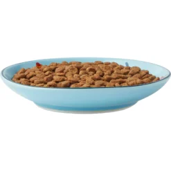 Frisco New York Non-skid Ceramic Cat Dish -PetPalace Picks 256119 PT5. AC SS1800 V1618494742