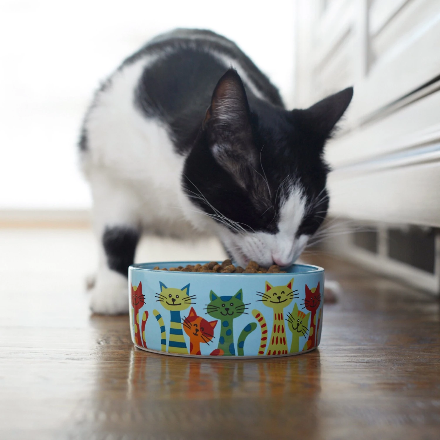 Frisco New York Non-skid Ceramic Cat Bowl 3 Frisco New York Non-skid Ceramic Cat Bowl - Image 3