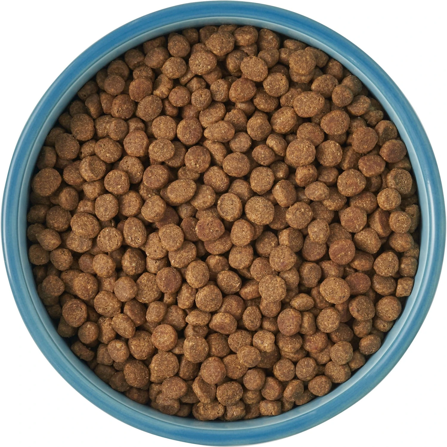 Frisco New York Non-skid Ceramic Cat Bowl 6 Frisco New York Non-skid Ceramic Cat Bowl - Image 6