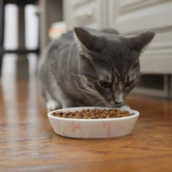 Frisco Marble Design Non-skid Ceramic Cat Bowl -PetPalace Picks 256125 PT6. AC SS1800 V1617037714