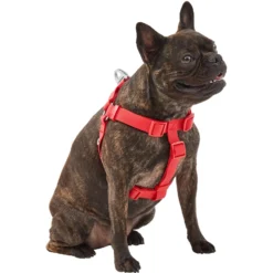 Frisco Outdoor Solid Textured Waterproof Stink Proof PVC Dog Harness 7 Frisco Outdoor Solid Textured Waterproof Stink Proof PVC Dog Harness -PetPalace Picks 256518 PT2. AC SS1800 V1625164704