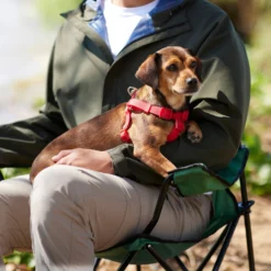 Frisco Outdoor Solid Textured Waterproof Stink Proof PVC Dog Harness 9 Frisco Outdoor Solid Textured Waterproof Stink Proof PVC Dog Harness -PetPalace Picks 256518 PT5. AC SS1800 V1625587387