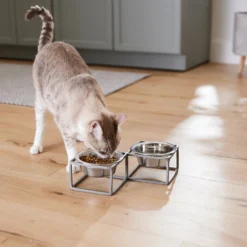 Frisco Elevated Diamond Stainless Steel Double Diner Dog & Cat Bowl -PetPalace Picks 257147 PT5. AC SS1800 V1615989105