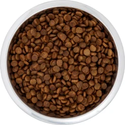 Frisco Black Iron Non-Skid Stainless Steel Dog & Cat Bowl -PetPalace Picks 257152 PT4. AC SS1800 V1615311427