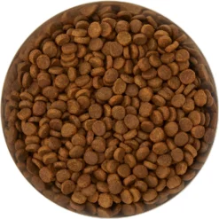 Frisco Flare Non-Skid Stainless Steel Dog & Cat Bowl -PetPalace Picks 257162 PT4. AC SS1800 V1612366692