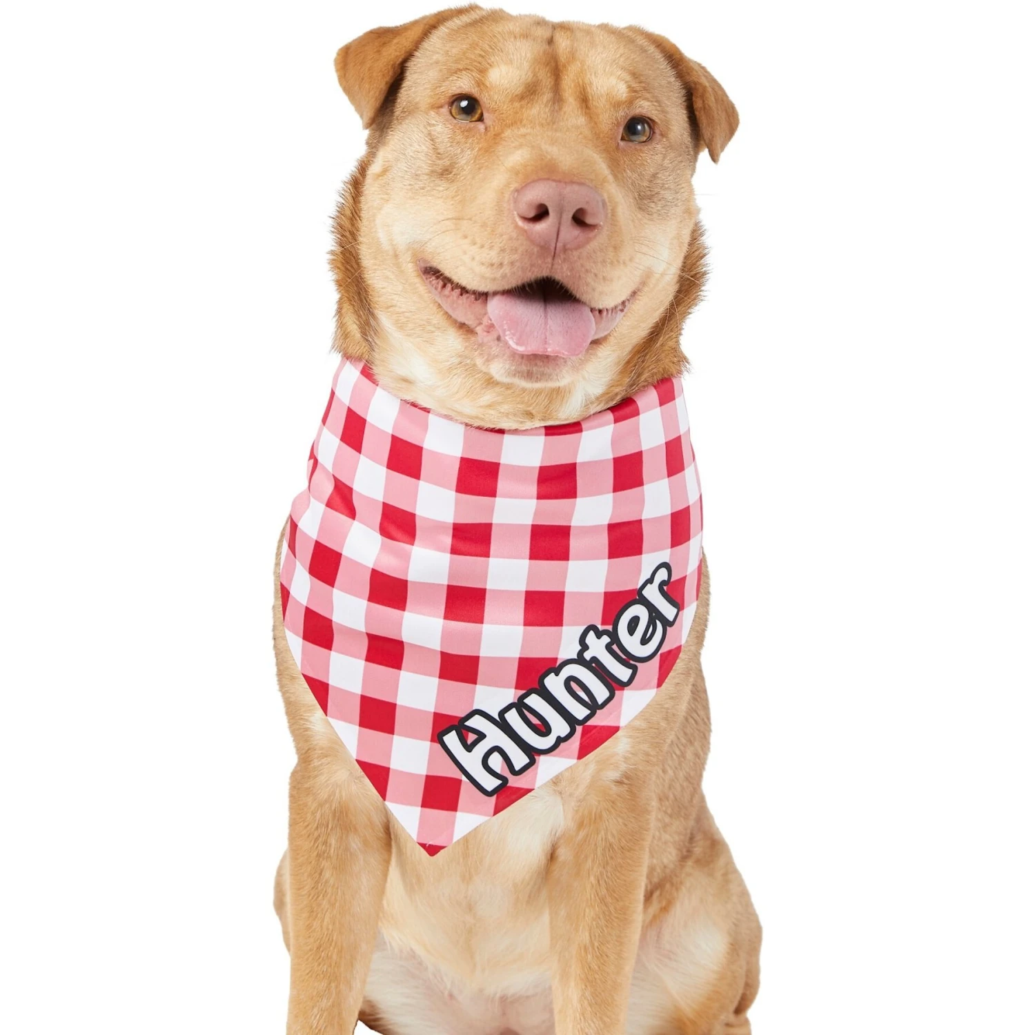 Frisco Gingham Personalized Dog & Cat Bandana 7 Frisco Gingham Personalized Dog & Cat Bandana - Image 7