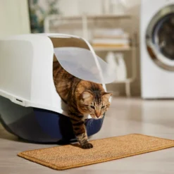 Frisco Sisal Mat -PetPalace Picks 259250 PT3. AC SS1800 V1675279993