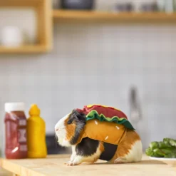 Frisco Hotdog Guinea Pig Costume, One Size -PetPalace Picks 261093 PT8. AC SS1800 V1624454761