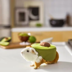 Frisco Avocado Guinea Pig Costume, One Size 9 Frisco Avocado Guinea Pig Costume, One Size -PetPalace Picks 261095 PT8. AC SS1800 V1624454728
