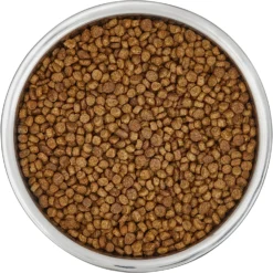 Frisco Insulated Non-Skid Flair Stainless Steel Dog & Cat Bowl 13 Frisco Insulated Non-Skid Flair Stainless Steel Dog & Cat Bowl -PetPalace Picks 261753 PT4. AC SS1800 V1623937583