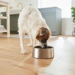 Frisco Insulated Non-Skid Stainless Steel Dog & Cat Bowl -PetPalace Picks 261757 PT8. AC SS1800 V1623937364