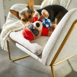 Frisco Road Trip Tourist Bear Plush Squeaky Dog Toy -PetPalace Picks 261995 PT3. AC SS1800 V1618598730