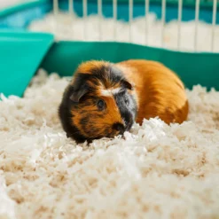 Frisco Small Pet Paper Bedding -PetPalace Picks 263926 PT5. AC SS1800 V1625586696