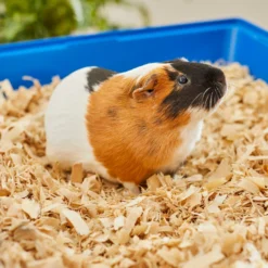 Frisco Aspen Wood Small Pet Bedding -PetPalace Picks 263936 PT5. AC SS1800 V1625586334