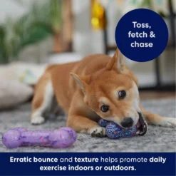 Frisco Birthday TPR Fetch Bone Squeaky Dog Toy -PetPalace Picks 264422 PT4. AC SS1800 V1695760988