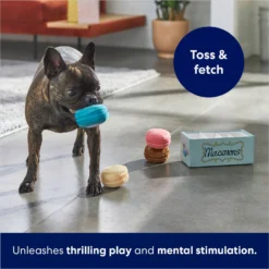Frisco Macaron Interactive Plush Squeaky Dog Toy -PetPalace Picks 264438 PT5. AC SS1800 V1686579089