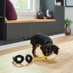 Frisco Magic Pocket Watch & Glasses Plush Squeaky Dog Toy, 2 Count 5 Frisco Magic Pocket Watch & Glasses Plush Squeaky Dog Toy, 2 Count -PetPalace Picks 265590 PT3. AC SS1800 V1620938935