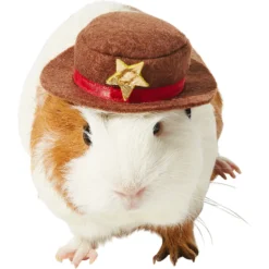 Frisco Cowboy Guinea Pig Costume Hat, One Size