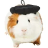 Frisco French Beret Guinea Pig Costume Hat, One Size