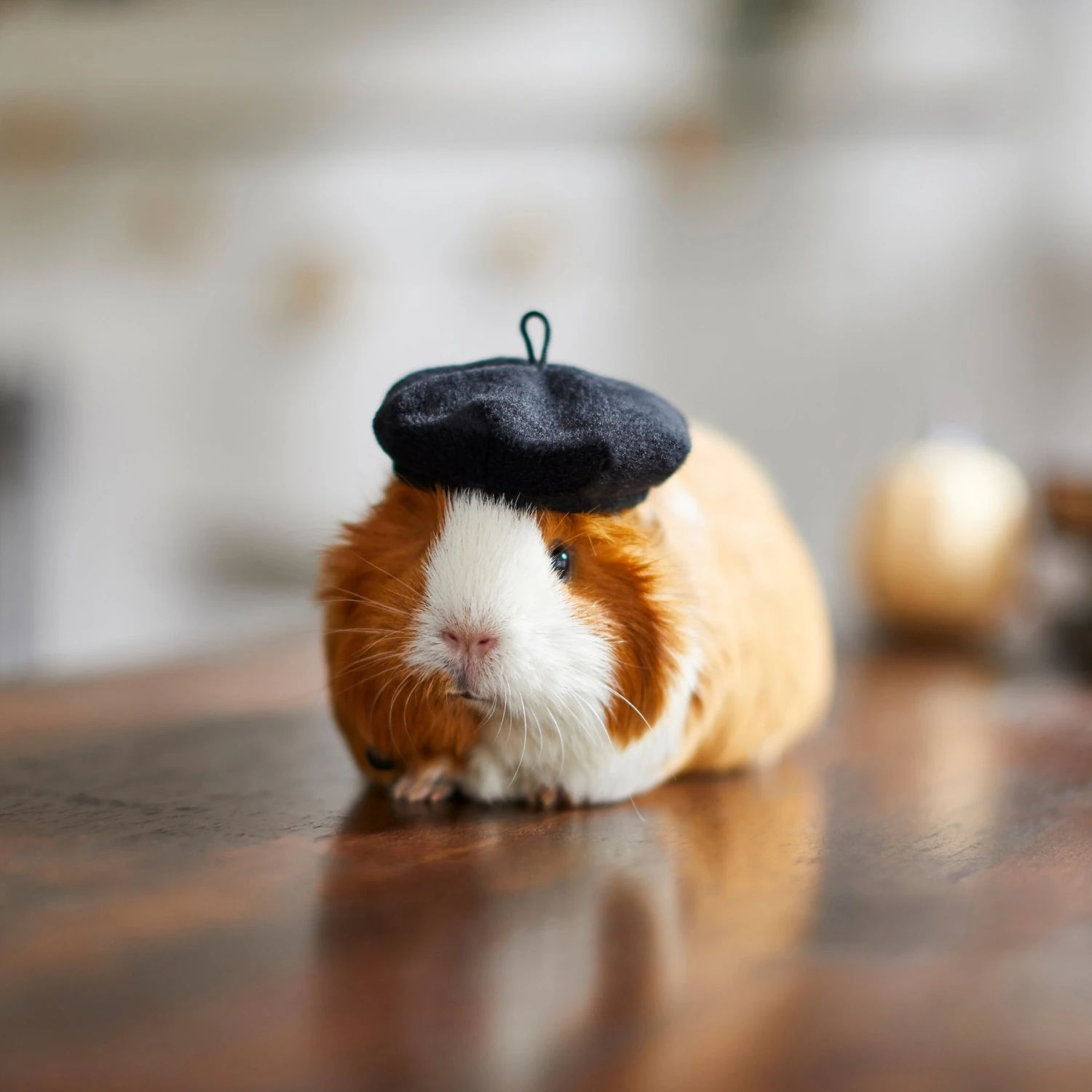 Frisco French Beret Guinea Pig Costume Hat, One Size 4 Frisco French Beret Guinea Pig Costume Hat, One Size - Image 4