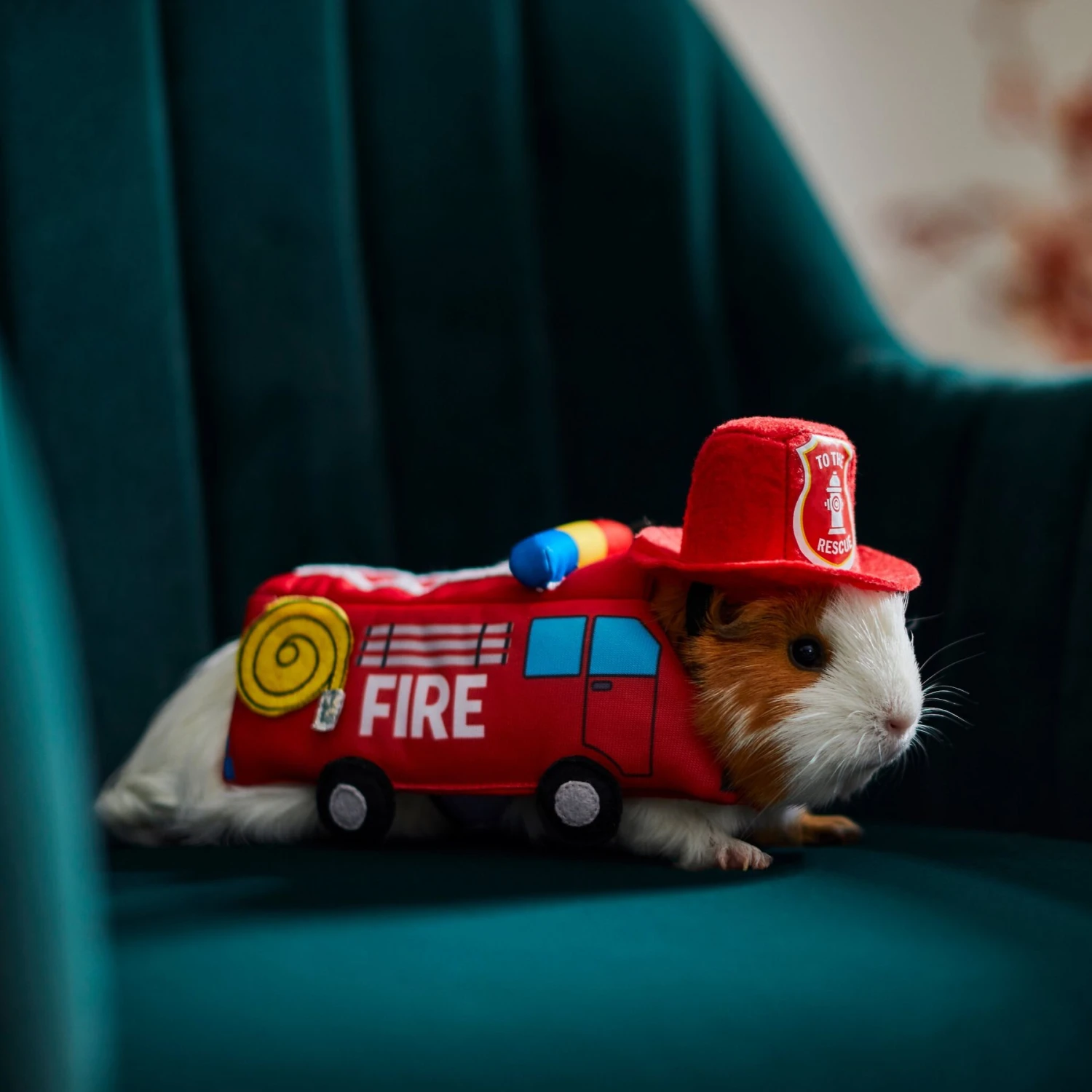 Frisco Firetruck Guinea Pig Costume, One Size 6 Frisco Firetruck Guinea Pig Costume, One Size - Image 6