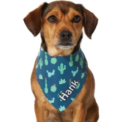 Frisco Cactus Personalized Dog & Cat Bandana 14 Frisco Cactus Personalized Dog & Cat Bandana -PetPalace Picks 267551 PT7. AC SS1800 V1623164614