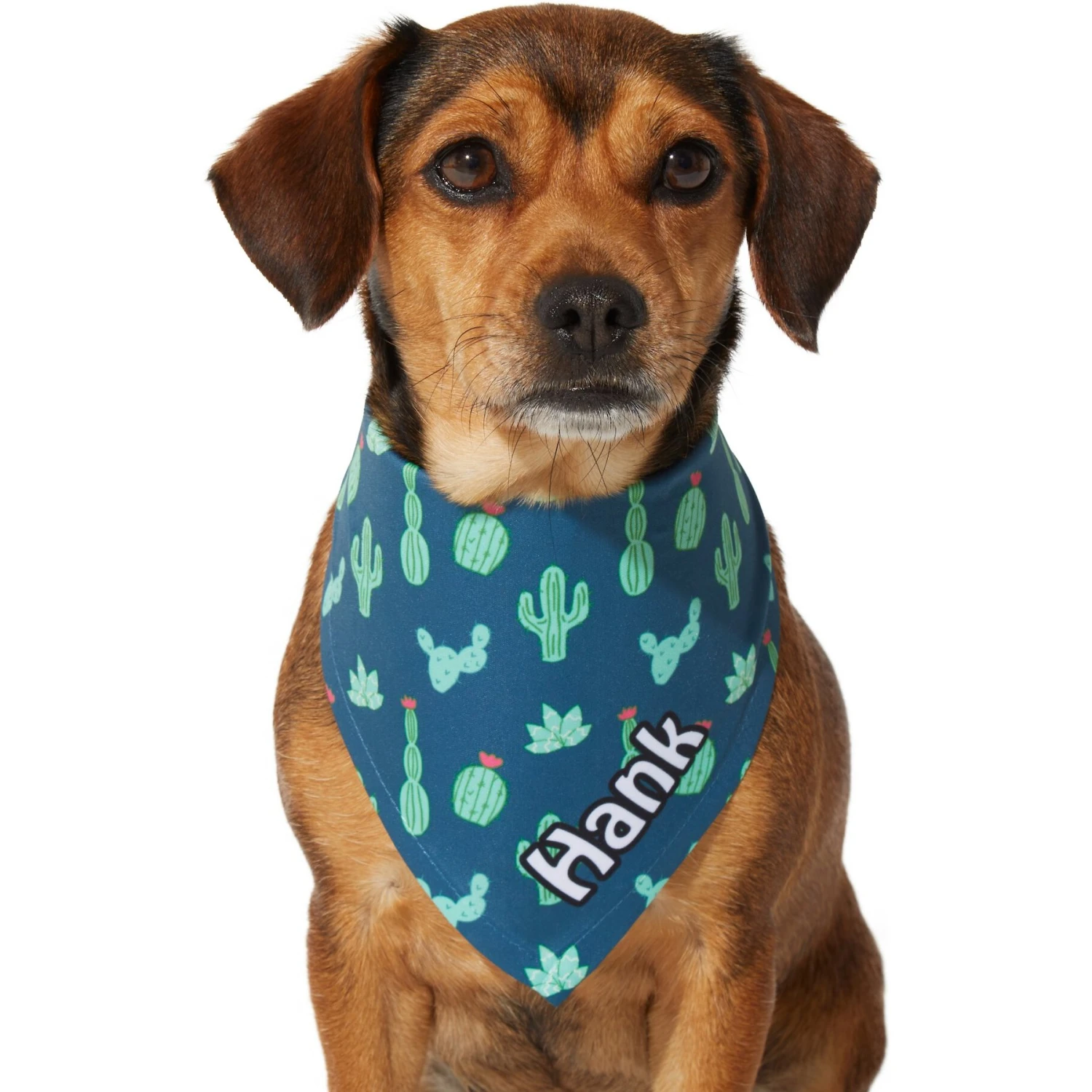 Frisco Cactus Personalized Dog & Cat Bandana 7 Frisco Cactus Personalized Dog & Cat Bandana - Image 7