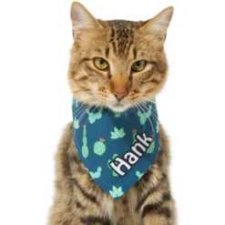 Frisco Cactus Personalized Dog & Cat Bandana 15 Frisco Cactus Personalized Dog & Cat Bandana -PetPalace Picks 267551 PT8. AC SS1800 V1623164657