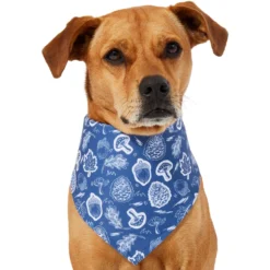 Frisco Fall Vibes Dog & Cat Bandana -PetPalace Picks 267913 PT2. AC SS1800 V1637722647