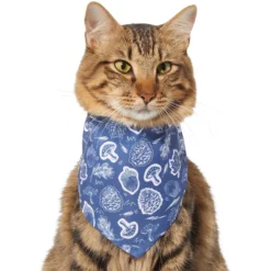 Frisco Fall Vibes Dog & Cat Bandana -PetPalace Picks 267913 PT3. AC SS1800 V1637729806