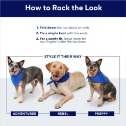 Frisco Fall Vibes Dog & Cat Bandana -PetPalace Picks 267913 PT6. AC SS1800 V1696279423