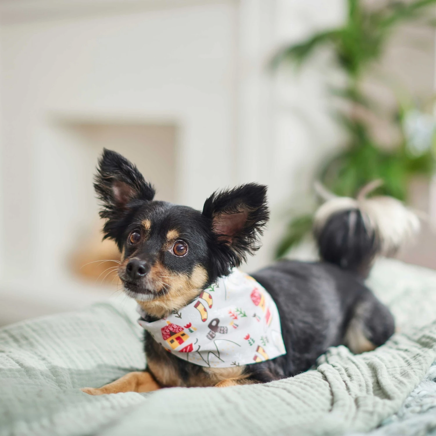 Frisco Wintry Vibes Dog & Cat Bandana 6 Frisco Wintry Vibes Dog & Cat Bandana - Image 6