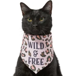 Frisco Pink Leopard Dog & Cat Bandana 11 Frisco Pink Leopard Dog & Cat Bandana -PetPalace Picks 267922 PT3. AC SS1800 V1637687868