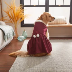 Frisco Mediumweight Pom Pom Bow Dog & Cat Peacoat Dress, Red -PetPalace Picks 268200 PT8. AC SS1800 V1629757410