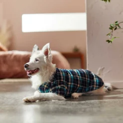 Frisco Multi-Plaid Dog & Cat Flannel Shirt 16 Frisco Multi-Plaid Dog & Cat Flannel Shirt -PetPalace Picks 268588 PT7. AC SS1800 V1637674022