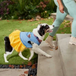 Frisco Chambray Plaid Dog & Cat Dress -PetPalace Picks 268637 PT6. AC SS1800 V1637730174