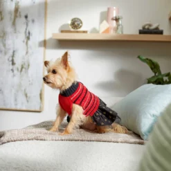 Frisco Chenille Knit Striped Dog & Cat Dress 12 Frisco Chenille Knit Striped Dog & Cat Dress -PetPalace Picks 268668 PT5. AC SS1800 V1637675198